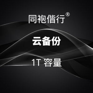 云备份 1T 容量